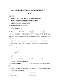 2024年河南省周口市沈丘县2校联考一模数学模拟试题（含解析）