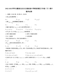 2022-2023学年安徽省安庆市太湖实验中学教育集团八年级（下）期中数学试卷（含解析）