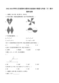 2022-2023学年江苏省泰州市泰兴市实验初中集团七年级（下）期中数学试卷（含解析）