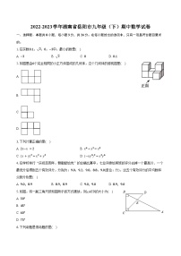 2022-2023学年湖南省岳阳市九年级（下）期中数学试卷（含解析）