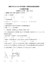 江苏省泰州市靖江市靖城中学2023-2024学年九年级下学期第一次月考数学试题