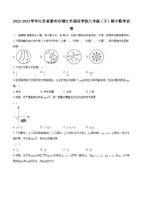 2022-2023学年江苏省泰州市靖江外国语学校八年级（下）期中数学试卷（含解析）