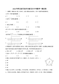 2024年河北省石家庄市新乐市中考数学一模试卷（含解析）