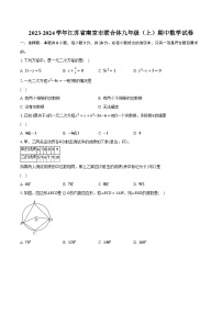 2023-2024学年江苏省南京市联合体九年级（上）期中数学试卷（含解析）