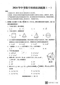 2024年广东省阳江市阳春市中考第一次模拟考试数学试卷