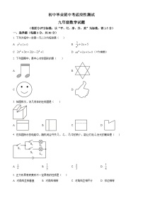 2024年河南省安阳市林州市九年级适应性考试数学模拟试题（原卷版+解析版）