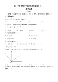 2024年江苏省常州市新北区部分学校九年级 一模考试数学模拟试题（原卷版+解析版）