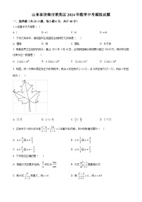 2024年山东省济南市莱芜区数学中考模拟试题（原卷版+解析版）