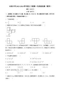 2024年四川省成都市双流中学中考一模数学模拟试题（原卷版+解析版）