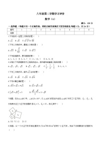 青海省海东市互助土族自治县2023-2024学年八年级下学期月考数学试题（含答案）