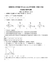 湖南省长沙市湖南师范大学附属中学2023-2024学年八年级下学期第一次月考数学试题(无答案)
