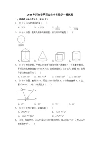 2024年河南省平顶山市中考数学一模试卷（含解析）