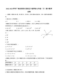 2022-2023学年广东省深圳市龙岗区丰丽学校七年级（下）期中数学试卷(含解析）