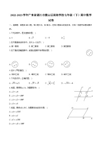 2022-2023学年广东省湛江市霞山区滨海学校七年级（下）期中数学试卷(含解析）