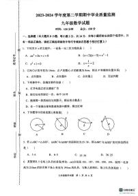 江苏省连云港市灌云县2023—2024学年九年级下学期4月期中数学试题