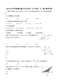 2022-2023学年新疆乌鲁木齐市兵团一中八年级（下）期中数学试卷(含解析）