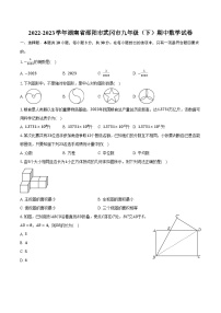 2022-2023学年湖南省邵阳市武冈市九年级（下）期中数学试卷(含解析）