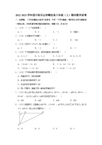 四川省乐山市峨边县八年级2022-2023学年上学期期末数学试卷