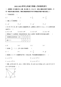 江苏省连云港市海州区新海初级中学2023-2024学年九年级下学期3月月考数学试题（原卷版+解析版）