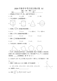 2024年数学中考特训集6