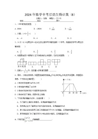 2024年数学中考特训集8