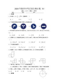 2024年数学中考特训集9