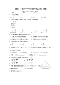 2024年数学中考特训集14