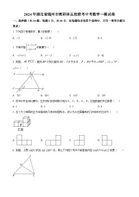 2024年湖北省随州市教研体五校联考中考一模数学试题（原卷版+解析版）