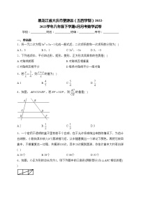 黑龙江省大庆市肇源县（五四学制）2022-2023学年八年级下学期6月月考数学试卷(含答案)