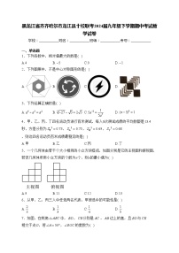 黑龙江省齐齐哈尔市龙江县十校联考2024届九年级下学期期中考试数学试卷(含答案)