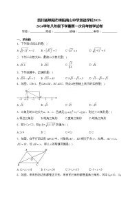 四川省绵阳市绵阳南山中学双语学校2023-2024学年八年级下学期第一次月考数学试卷(含答案)