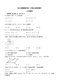 黑龙江省哈尔滨市香坊区哈尔滨德强学校2023-2024学年八年级下学期月考数学试题(无答案)