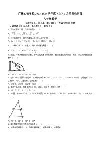 广东省江门市广德实验学校2023-2024学年八年级下学期月考数学试题(无答案)