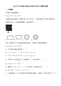 2023年广东省湛江市霞山区实验中学中考一模数学试题