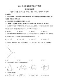 2024年云南省楚雄彝族自治州元谋县部分学校中考一模数学模拟试题（原卷版+解析版）