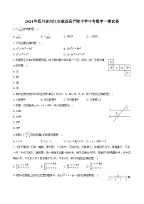 2024年四川省内江市威远县严陵中学中考数学一模试卷(含解析）