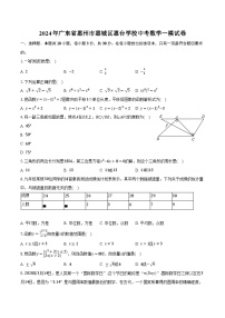 2024年广东省惠州市惠城区惠台学校中考数学一模试卷(含解析）