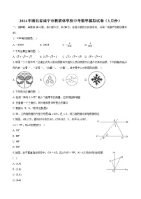 2024年湖北省咸宁市教联体学校中考数学模拟试卷（3月份）(含解析）