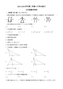 江苏省苏州市苏州工业园区苏州工业园区星港学校2023-2024学年七年级下学期3月月考数学试题（原卷版+解析版）