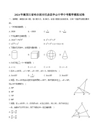 2024年黑龙江省哈尔滨市巴彦县华山中学中考数学模拟试卷(含解析）