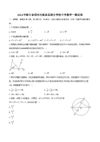 2024年浙江省绍兴市新昌县部分学校中考数学一模试卷(含解析）