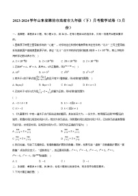 2023-2024学年山东省潍坊市高密市九年级（下）月考数学试卷（3月份）(含解析）