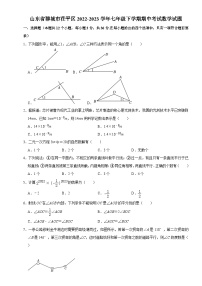 山东省聊城市茌平区2022-2023学年七年级下学期期中考试数学试题