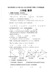 2023年哈尔滨市163中学八年级（下）数学3月考试卷及答案