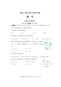 成都市天府新区2023-2024学年八年级数学上期期末试题及答案(pdf版)