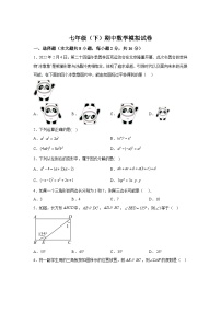 江苏省常州市溧阳市2023-2024学年七年级下册期中模拟数学试题（含解析）