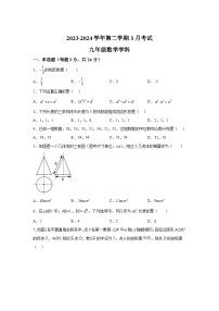 江苏省苏州市苏州工业园区苏州工业园区星港学校2023-2024学年九年级下册3月月考数学试题（含解析）