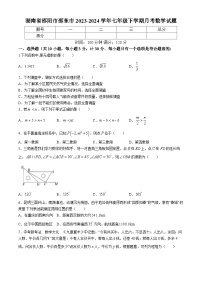 湖南省邵阳市邵东市2023-2024学年七年级下学期月考数学试题