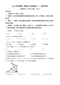 2024年上海市杨浦区九年级中考一模数学试题（原卷版+解析版）