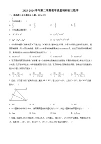 江苏省苏州中学校2024年九年级下学期一模考试数学模拟试题（原卷版+解析版）